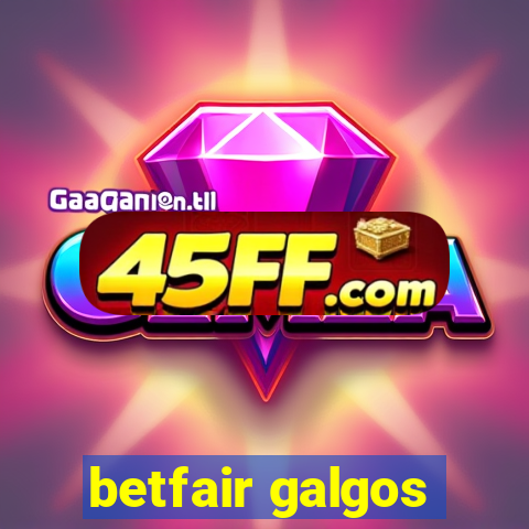betfair galgos